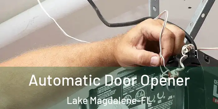 Automatic Door Opener Lake Magdalene-FL