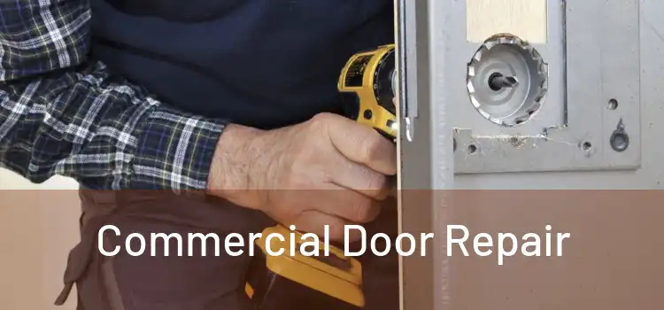 Commercial Door Repair