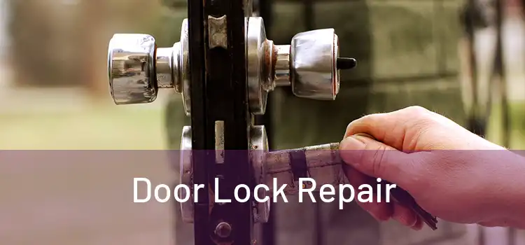 Door Lock Repair