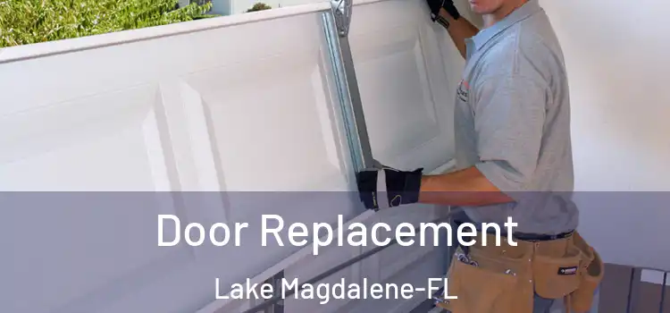 Door Replacement Lake Magdalene-FL