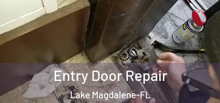 Entry Door Repair Lake Magdalene-FL