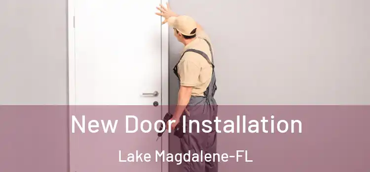 New Door Installation Lake Magdalene-FL