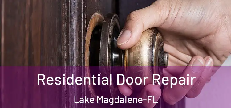 Residential Door Repair Lake Magdalene-FL